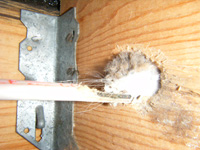 Free Home Inspection Report Software Program